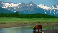 Cruise Deals, Alaska Cruises