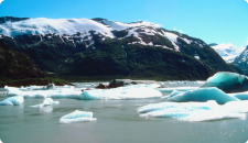 Glaciers Cruises, Alaska Cruises